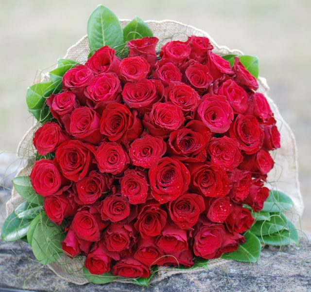 Spectacular 50 Red Roses - VB50 - Angkor Flowers