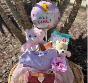 Baby Girl Gift Basket – teddy bear, growsuite/ bib, wipe, wrap or baby towel