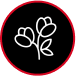 A black circle with a thin red border contains a white outline illustration of two Angkor Flowers, complete with stems and leaves.