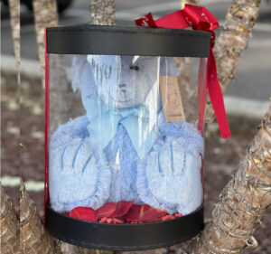 Blue Teddy Bear In Gift Box -25cmH