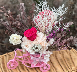 Everlasting Flowers Pink in Container Flower Bike