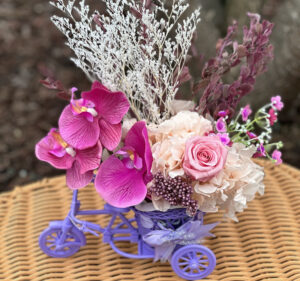 Everlasting Flowers Pink and Purple in Container Flower Bike