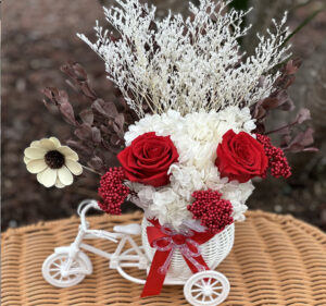 Everlasting Flowers Red - 2 Roses- in Container Flower Bike