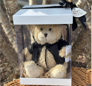 Graduation Teddy Bear 25cmH in Transparency Gift Box