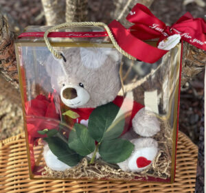 Love Teddy Bear and A Stem of Rose in Transparency Gift Bag