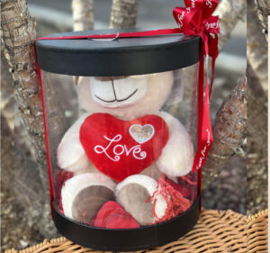 Love Teddy Bear in Transparency Gift Box- 25cmH