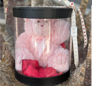 Pink Teddy Bear in Transparency Gift Box- 25cmH