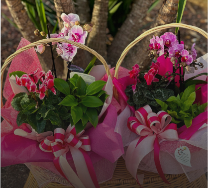 Two gift baskets filled with pink orchids, green plants, and decorative pink ribbons from Angkor Flowers are placed on a wicker chair outdoors.